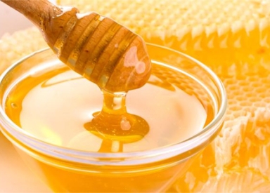 ماذا نعرف عن  النحل ؟