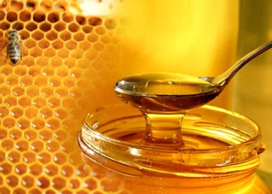 مذكرة علمية حول جمع و تفريخ أجنة نحل العسل Scientific note on mass collection and hatching of honey bee embryos.